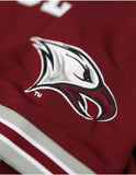 Big Boy North Carolina Central Eagles S16 Adult Football Jersey [Maroon]