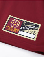 Big Boy Bethune-Cookman Wildcats Adult Football Jersey [Crimson Red]