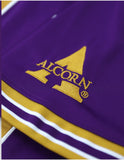 Big Boy Alcorn State Braves S16 Adult Football Jersey [Purple]