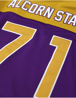 Big Boy Alcorn State Braves S16 Adult Football Jersey [Purple]