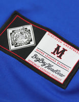 Big Boy Brooklyn Royal Giants S5 Adult Baseball Jersey [Royal Blue]