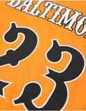Big Boy Baltimore Black Sox S5 Adult Baseball Jersey [Orange]