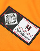 Big Boy Baltimore Black Sox S5 Adult Baseball Jersey [Orange]