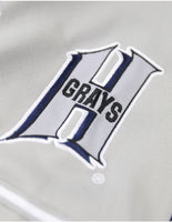 Big Boy Homestead Grays S5 Adult Baseball Jersey [Navy Blue]
