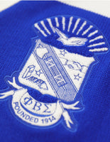 Big Boy Phi Beta Sigma Divine 9 S8 Sweater Cardigan [Royal Blue]