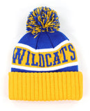 Big Boy Fort Valley State Wildcats S256 Adult Beanie With Ball [Royal Blue]