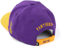 Big Boy Prairie View A&M Panthers S150 Adult Cap [Purple]