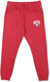 Big Boy North Carolina Central Eagles S3 Mens Sweatpants [Maroon]