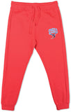 Big Boy Delaware State Hornets S3 Mens Sweatpants [Red]
