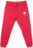 Big Boy District Of Columbia Firebirds S3 Mens Sweatpants [Crimson Red]