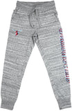 Big Boy Delaware State Hornets S2 Womens Jogger Pants [Grey]