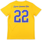 Big Boy Sigma Gamma Rho Divine 9 S17 Glitter Dry Fit Tee [Gold]