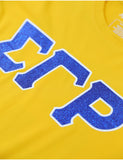 Big Boy Sigma Gamma Rho Divine 9 S17 Glitter Dry Fit Tee [Gold]