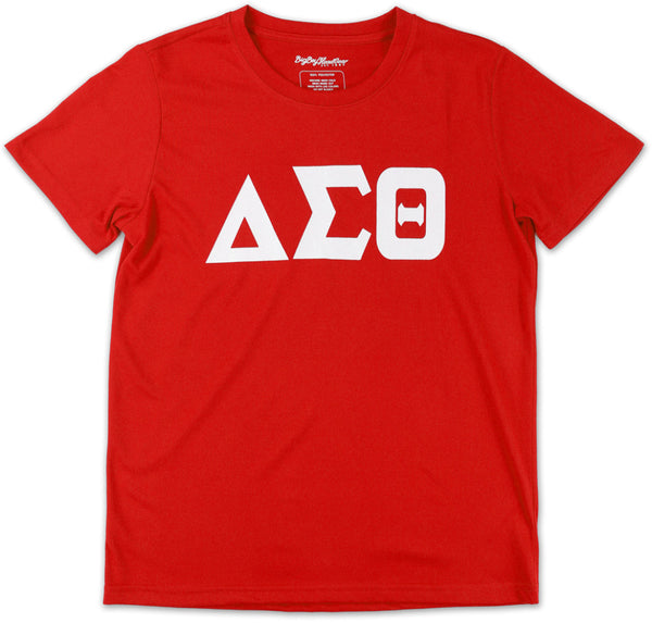 Big Boy Delta Sigma Theta Divine 9 S17 Glitter Dry Fit Tee [Red]