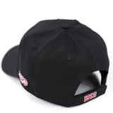 Big Boy Delta Sigma Theta Divine 9 S159 Crest Ball Cap [Black]