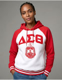 Big Boy Delta Sigma Theta Divine 9 S7 Two-Tone Adult Pullover Hoodie [White]