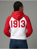 Big Boy Delta Sigma Theta Divine 9 S7 Two-Tone Adult Pullover Hoodie [White]