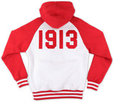 Big Boy Delta Sigma Theta Divine 9 S7 Two-Tone Adult Pullover Hoodie [White]