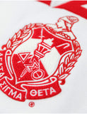 Big Boy Delta Sigma Theta Divine 9 S7 Two-Tone Adult Pullover Hoodie [White]