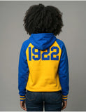 Big Boy Sigma Gamma Rho Divine 9 S7 Two-Tone Adult Pullover Hoodie [Gold]