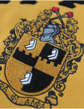 Big Boy Alpha Phi Alpha Divine 9 S7 Two-Tone Pullover Hoodie [Gold]