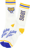 Big Boy Headgear Fort Valley State Wildcats S7 Mens Socks [White]