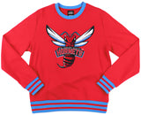 Big Boy Headgear Delaware State Hornets S6 Mens Sweatshirt [Red]