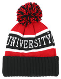 Big Boy Headgear Clark Atlanta Panthers S256 Unisex Adult Beanie With Ball [Black]