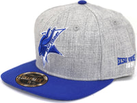 Big Boy Elizabeth City State Vikings S142 Mens Snapback Cap [Grey]
