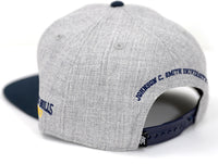 Big Boy Johnson C. Smith Golden Bulls S142 Mens Snapback Cap [Grey]