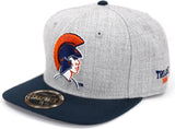 Big Boy Virginia State Trojans S142 Mens Snapback Cap [Grey]