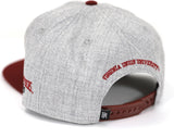 Big Boy Virginia Union Panthers S142 Mens Snapback Cap [Grey]