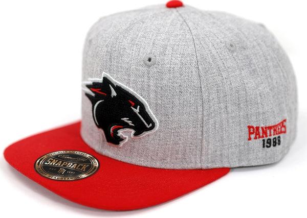 Big Boy Clark Atlanta Panthers S142 Mens Snapback Cap [Grey]