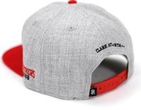 Big Boy Clark Atlanta Panthers S142 Mens Snapback Cap [Grey]