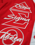 Big Boy Delta Sigma Theta Divine 9 S11 Ladies Light Weight Cardigan [Red]