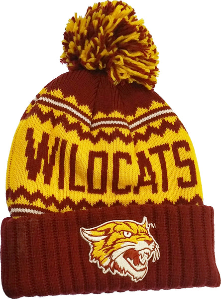 Big Boy Bethune-Cookman Wildcats S253 Beanie With Ball [Gold]