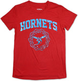 Big Boy Delaware State Hornets S3 Ladies Jersey Tee [Red]